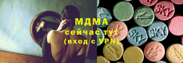 индика Беломорск