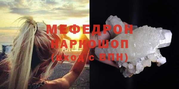 индика Беломорск