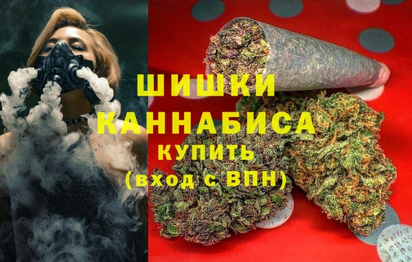 индика Беломорск
