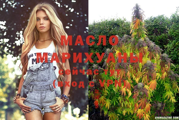 индика Беломорск