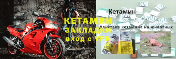 индика Беломорск