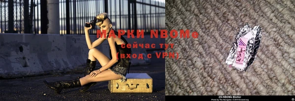 индика Беломорск