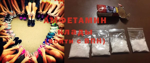 индика Беломорск