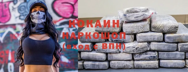 индика Беломорск